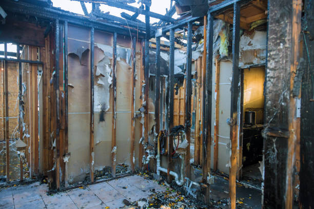 Professional Fire Damage Removal technician working in Ashton, MD